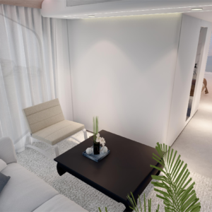 PX7 model space capsule